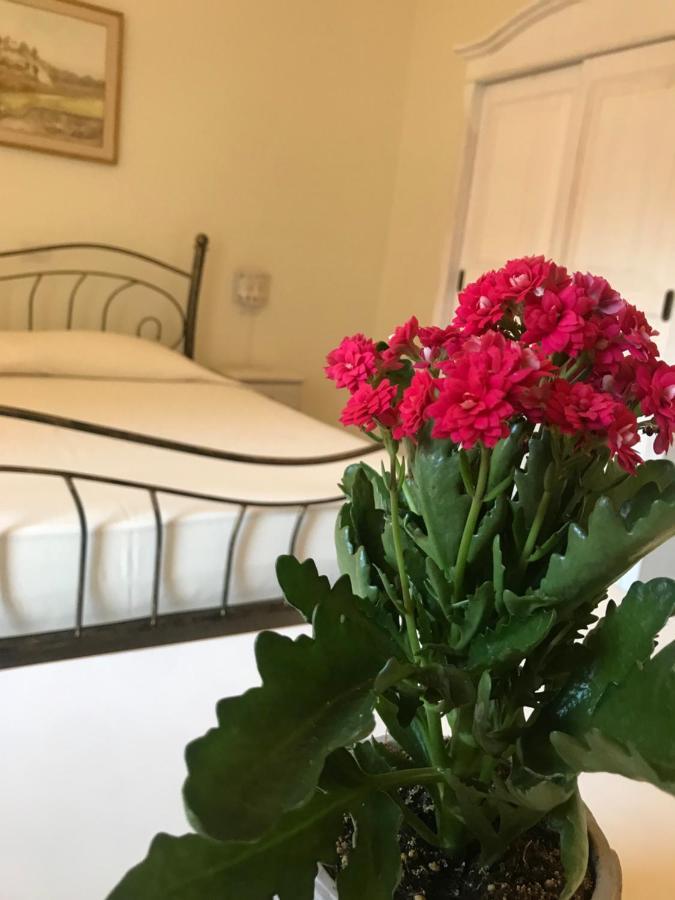 Domo Antiga Guest Rooms Sorso Exterior foto