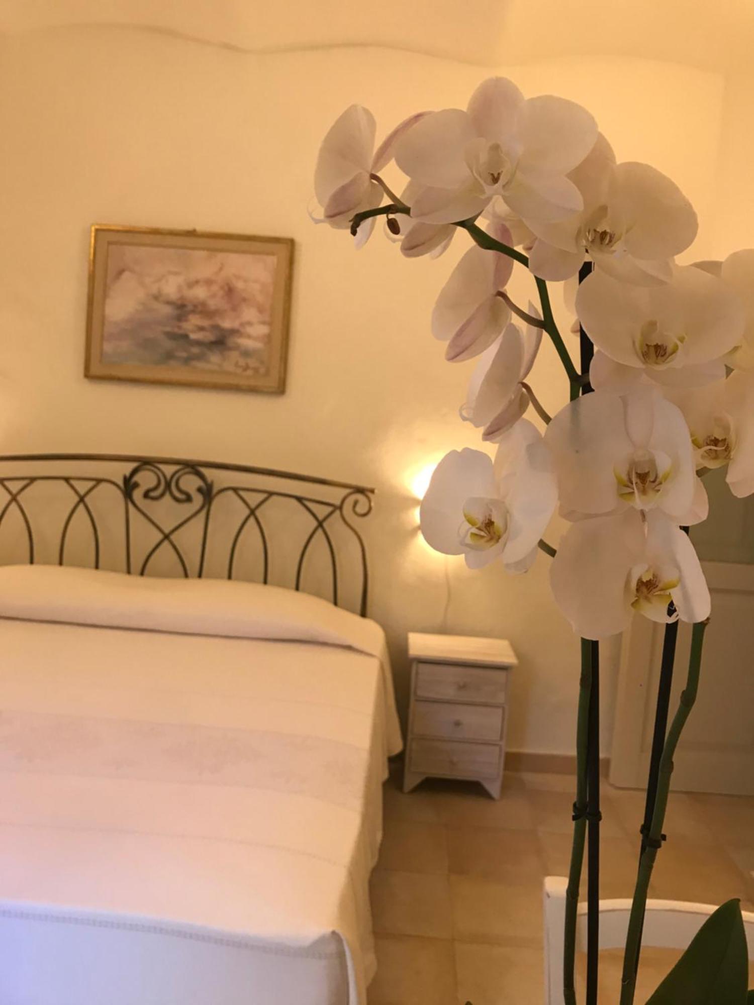 Domo Antiga Guest Rooms Sorso Exterior foto